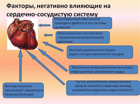 Воздержание и эффекты на сосуды и сердце