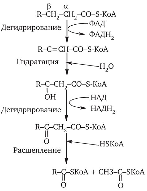 Возможное окисление