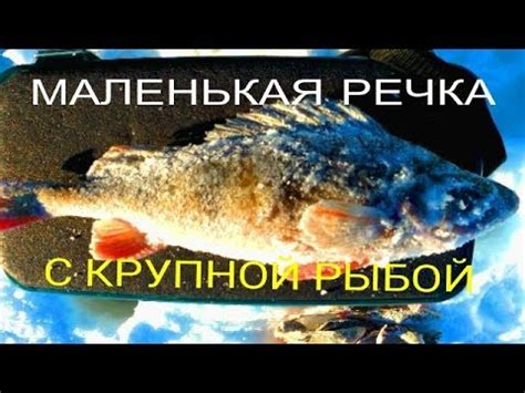 Возможное предупреждение во сне с крупной рыбой