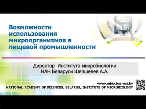 Возможности использования в пищевой промышленности