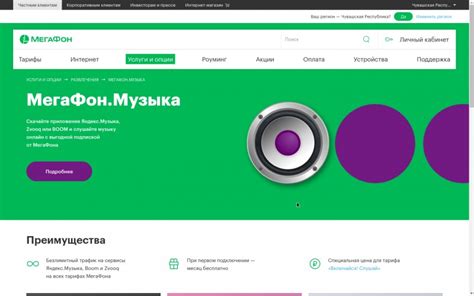 Возможности и условия работы с Мегафоном