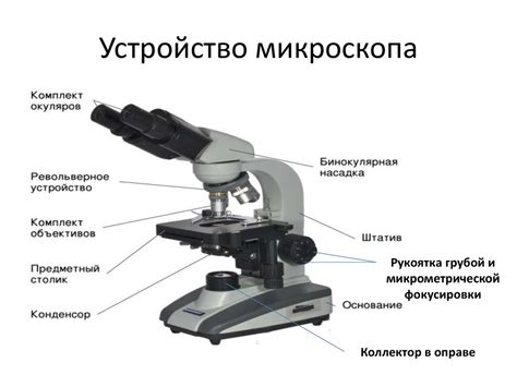 Возможности применения светового микроскопа в медицине