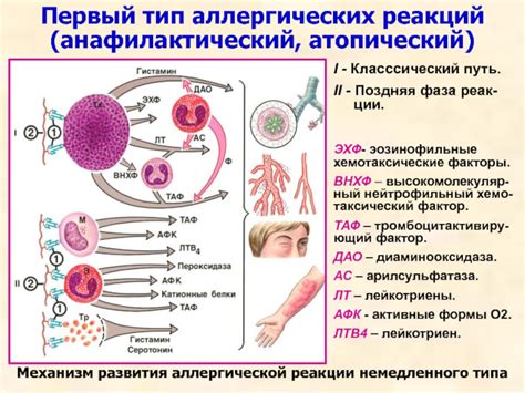 Возможность аллергической реакции на краситель