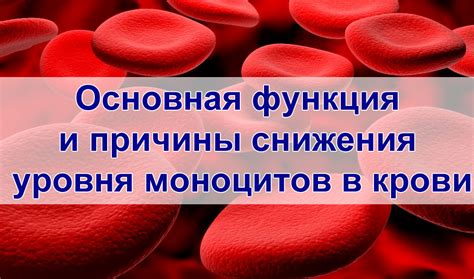 Возможные заболевания, связанные с изменением уровня моноцитов