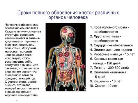 Возможные осложнения и последствия отклонений мснс