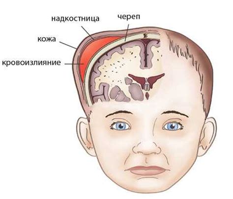 Возможные последствия трепания по голове