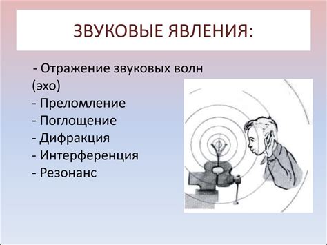 Возникновение необычных шумов и эха во время звуковых разговоров