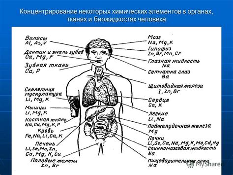 Возрастной фактор и содержание песчинок в организме