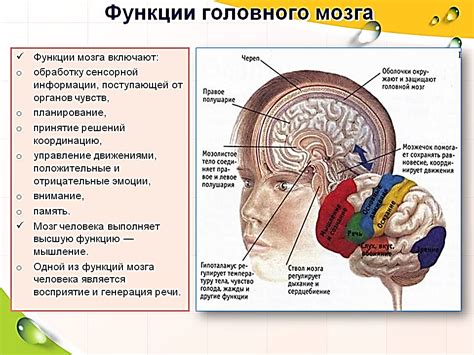 Возрастные изменения головного мозга