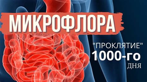 Восстановление микрофлоры у поросенка после поноса