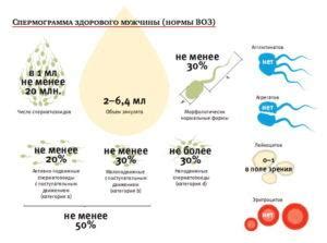 Восстановление телесных ресурсов после семяизвержения: что происходит?