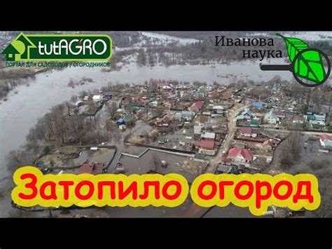 Восстановление участка после снятия дерна: основные этапы