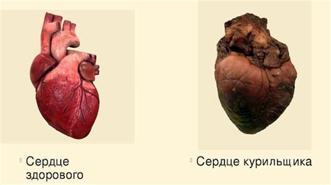 Впечатления от курения и здоровье сердца