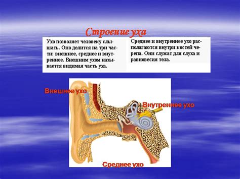 Вредные последствия постоянного шума