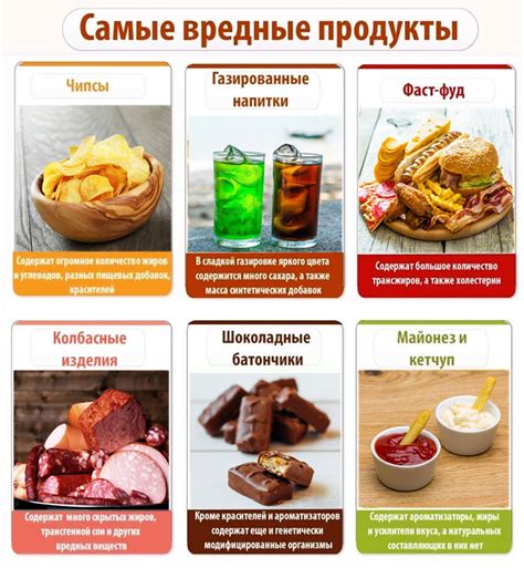 Вредные продукты для ежиков: что исключить из рациона