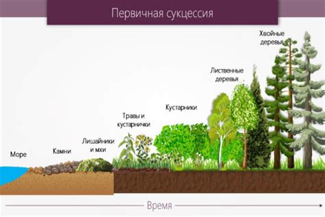 Время сушки и вторичная обработка