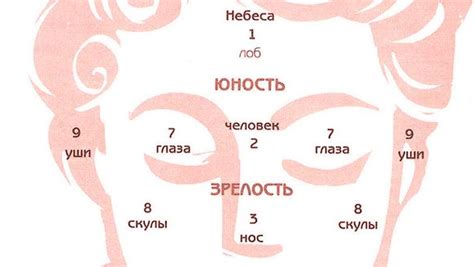 Врожденная предрасположенность к видимым сосудам на лице