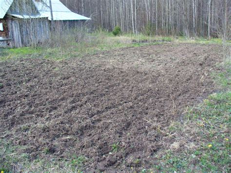 Вспаханная земля в огороде и потребность в развитии