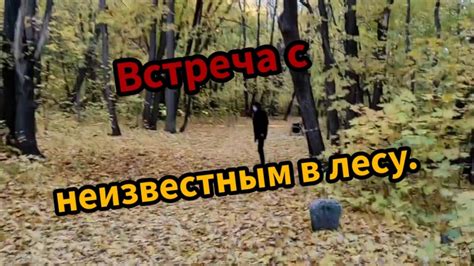 Встреча с неизвестным животным в лесу