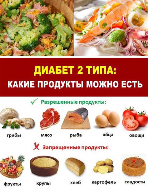 Выбор жирных продуктов для питания собаки с диабетом