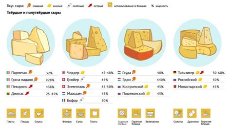 Выбор и использование рассольного сыра в кулинарии