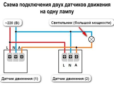 Выбор места с учетом освещения и дренажа