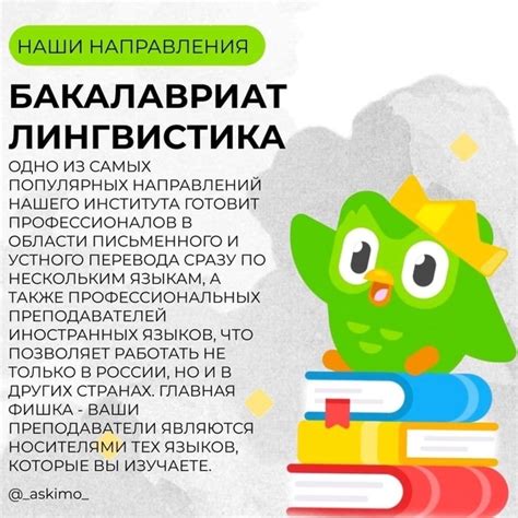 Выбор направления обучения