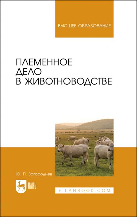 Выбор необходимых услуг в животноводстве