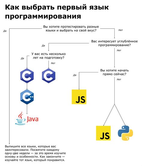 Выбор платформы и языка программирования