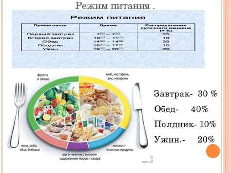 Выбор правильного рациона