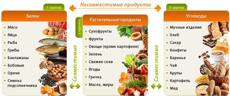 Выбор продуктов с высоким содержанием белка