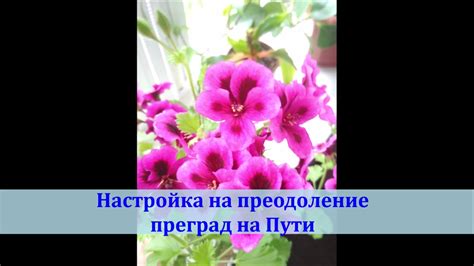 Выведите дочерей на прогулку: преодоление преград связи