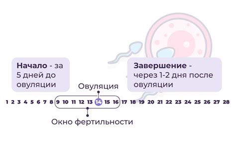 Выделения после овуляции: как определить период фертильности?