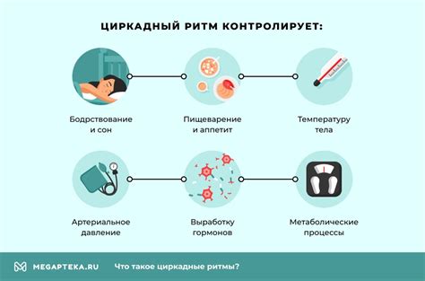 Выработка гормонов