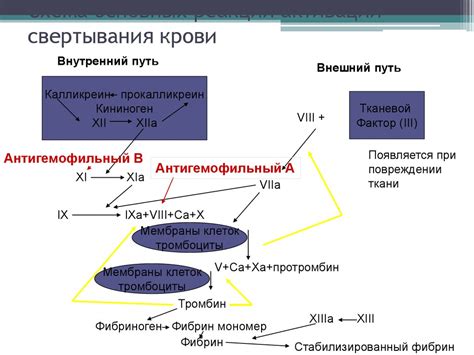 Высокий уровень факторов свертывания крови