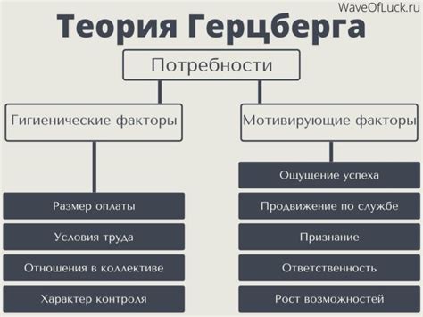 В чем заключается понятие дополнения?