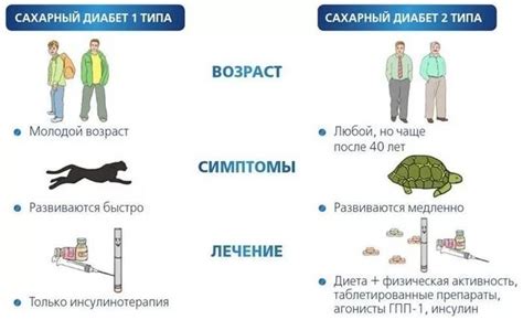 В чем отличия Разбавителя 1 и 2?