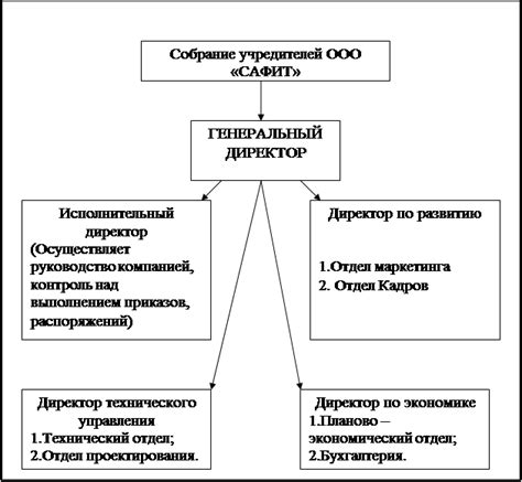 В чем суть профессиональной разницы между директором и руководителем?