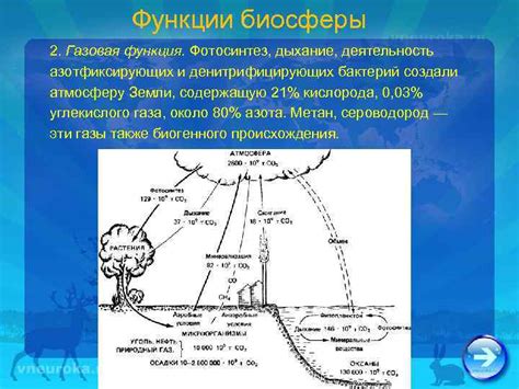 Газовая и газохимическая деятельность