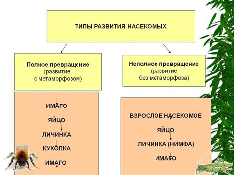 Гаметы у различных видов животных и растений