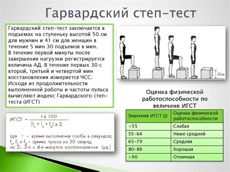 Гарвардский степ-тест: что он оценивает?