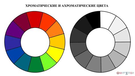 Гармония цветов и форм