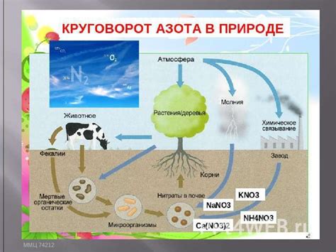 Где можно встретить азот в природе?