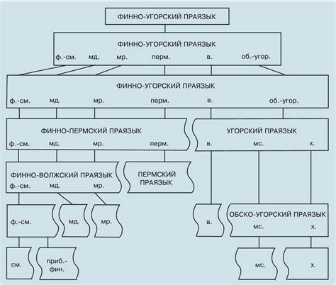 Генеалогическая значимость приставки "тер"