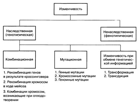 Генетика и загар