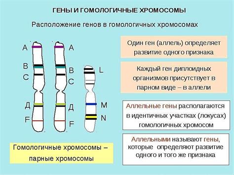 Генетика и наследственность