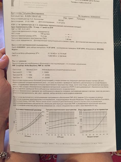 Генетическая двойка: возможно ли за 12 недель?