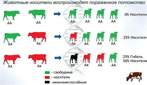 Генетические аномалии и их связь с повышенным риском