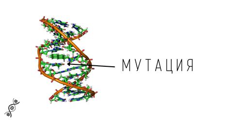 Генетические мутации: изменения в ДНК