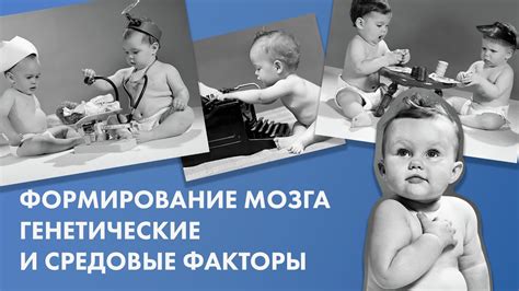 Генетические нарушения и средовые факторы